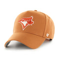 Toronto Blue Jays MLB Ghost Ballpark '47 Offside DT Cap
