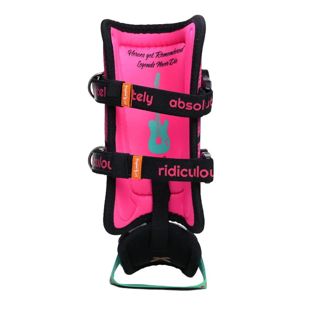 Absolutely Ridiculous Rockstar Adult Leg Guard