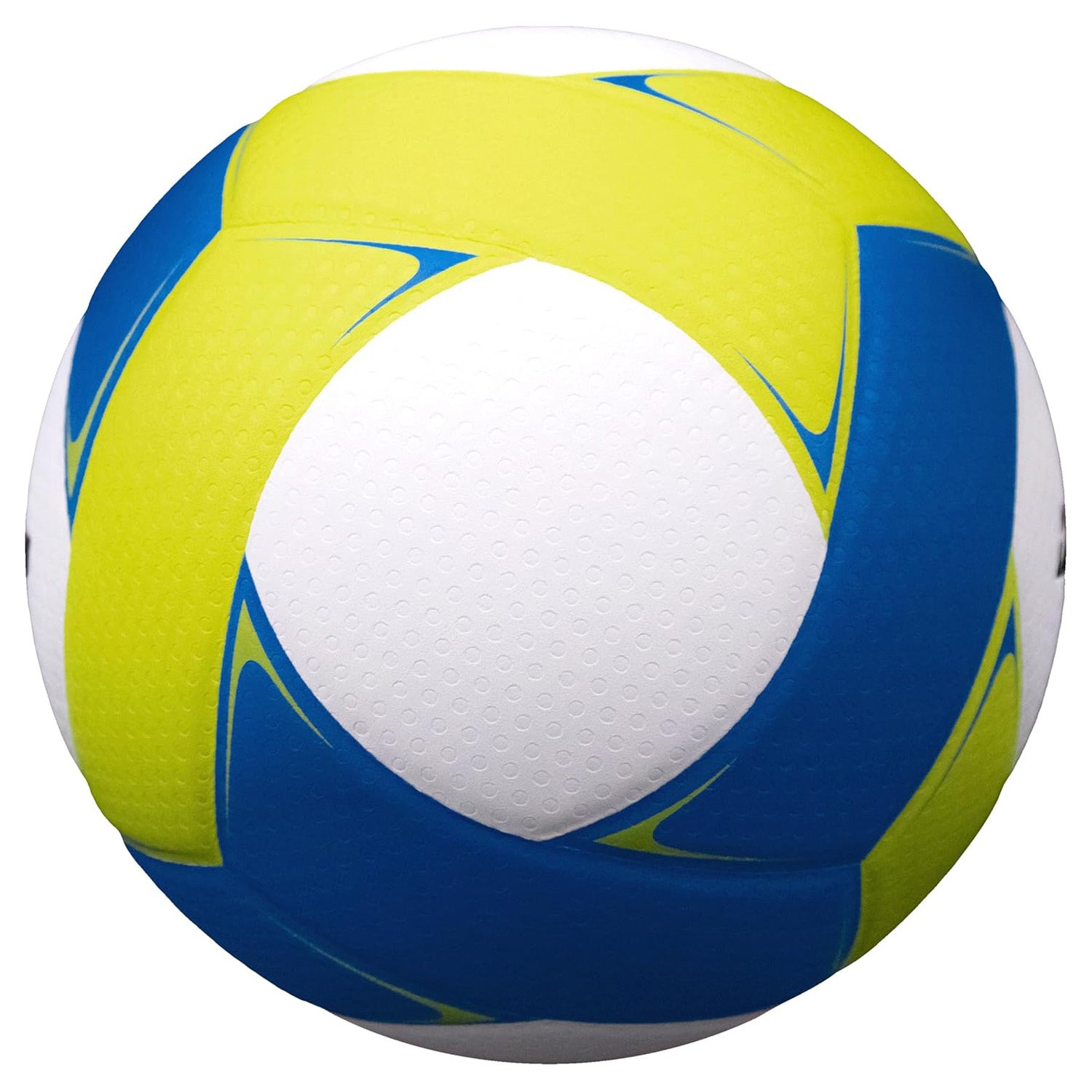 Ballon de Volleyball Intérieur Perfection Matrix Composite de Baden