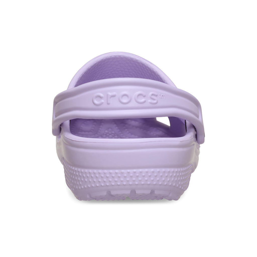 Purple Halo