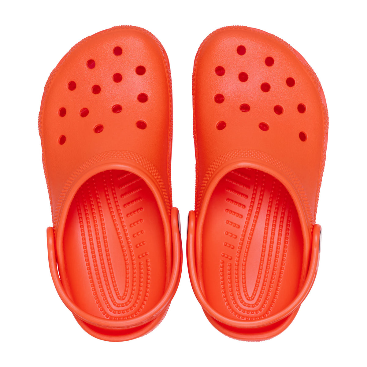 Shocking Orange