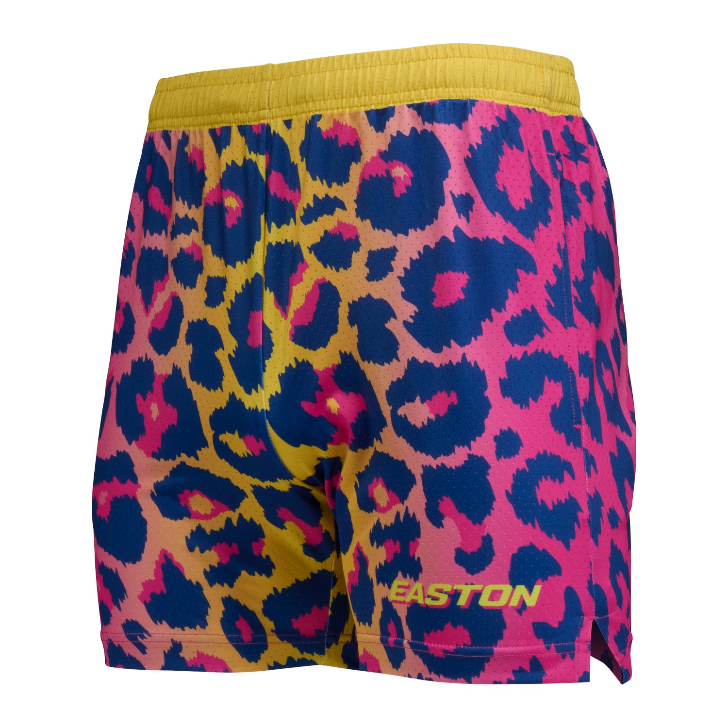Easton Spring Break '26 Get Loud Youth Shorts
