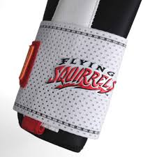 Absolutely Ridiculous Richmond Flying Squirrels Nutzy Sliding Mitt