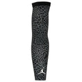 Manche Jordan Fly