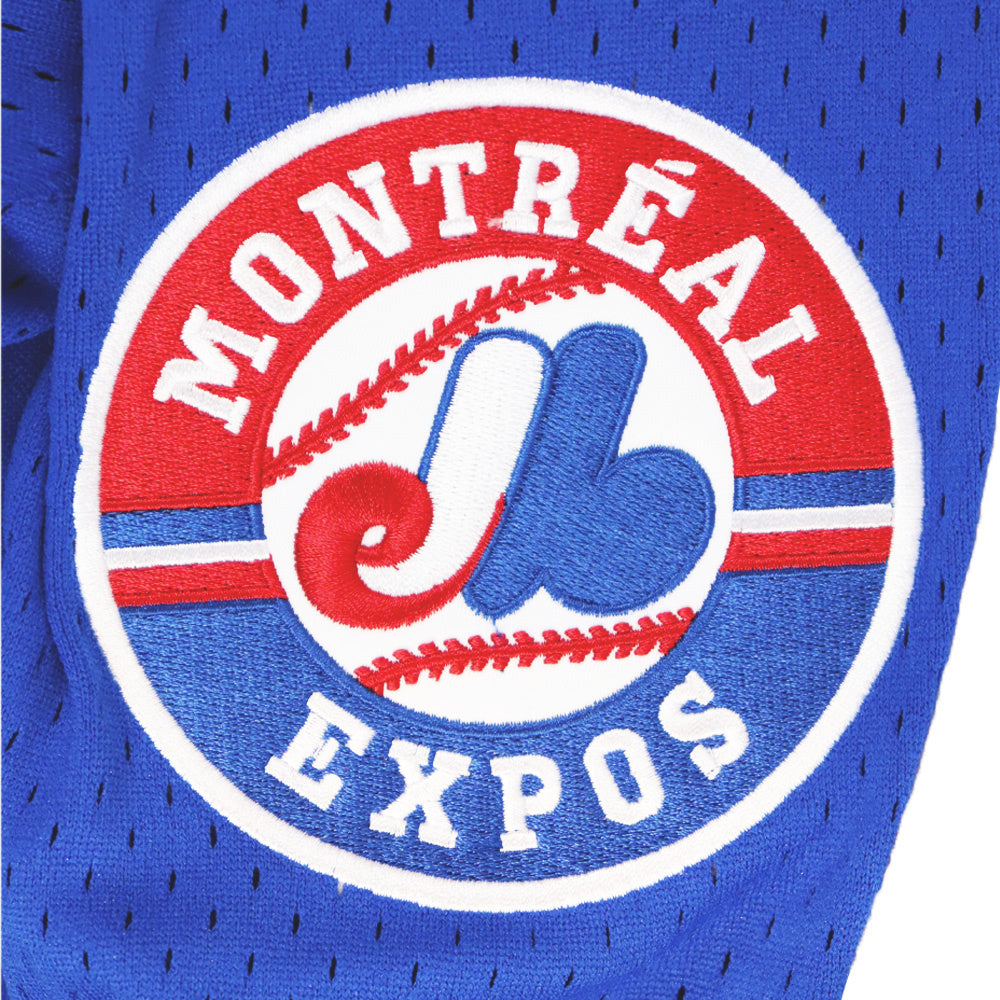 Jersey Cooperstown Signé de Vladimir Guerrero Sr. des Expos de Montréal Expos