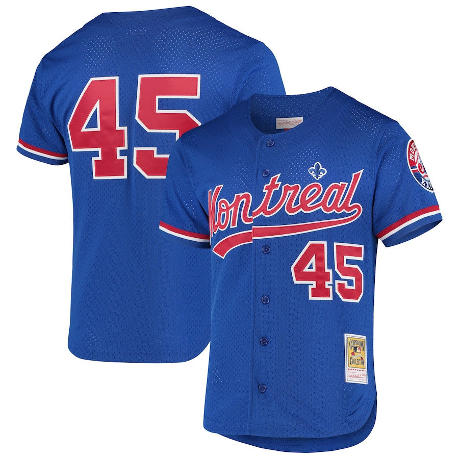 MLB Montreal Expos Pedro Martinez BP Jersey