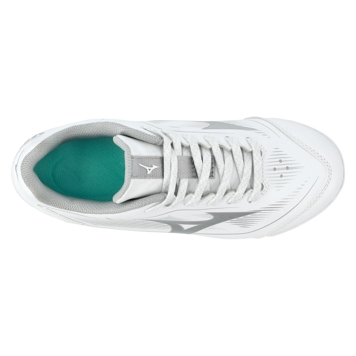 White/Silver