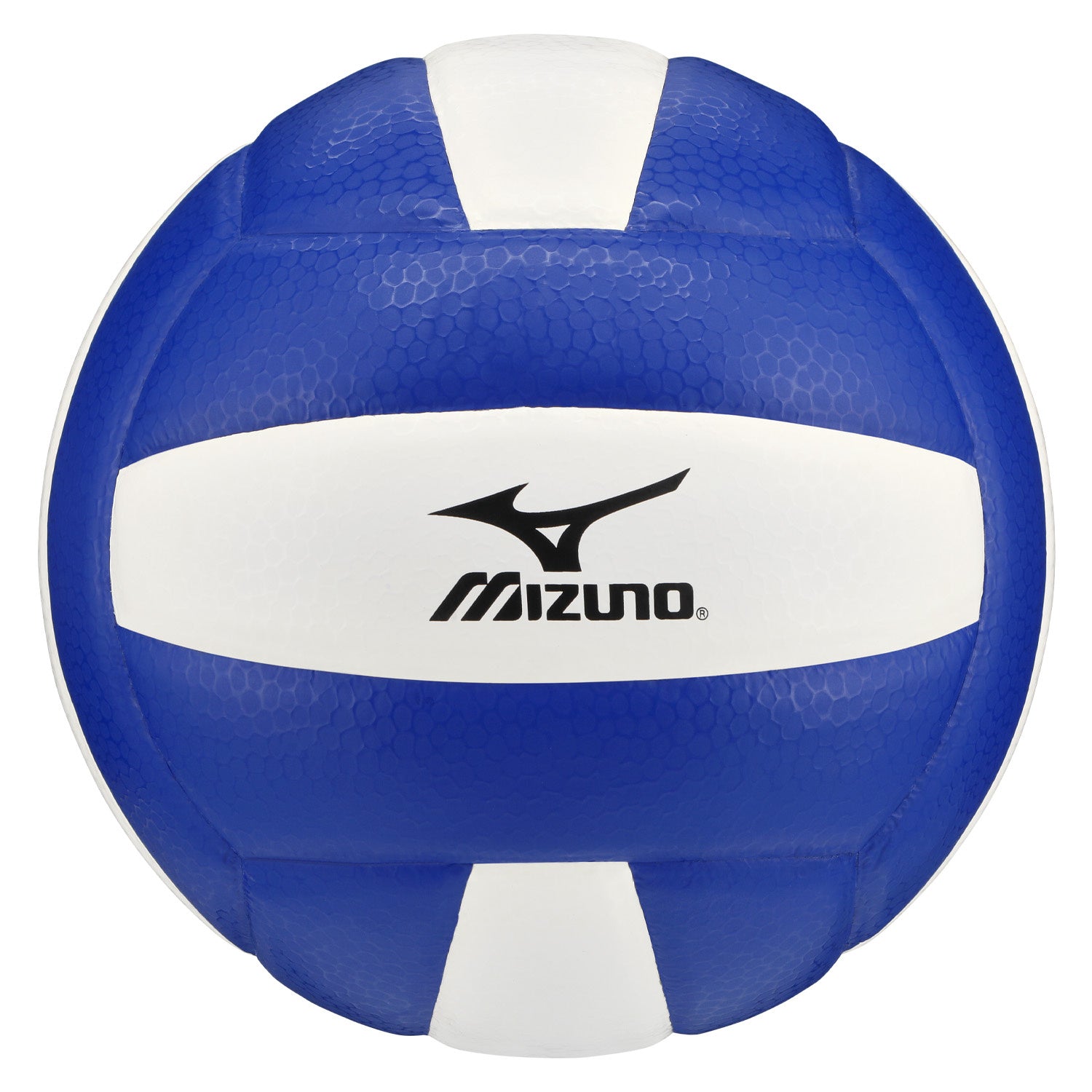 Ballon de Volleyball MZ5
