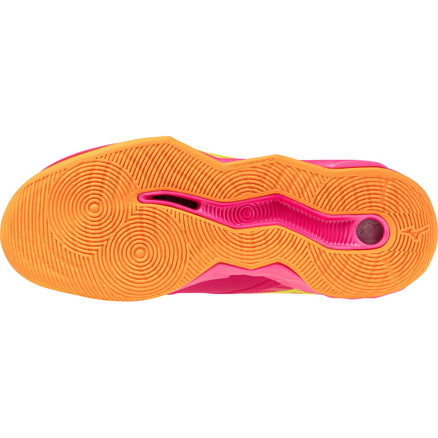 Mizuno Wave Momentum 4 Pro Women's Volleyball Shoes