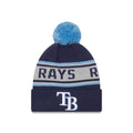 Tampa Bay Rays Knitrepeat D3