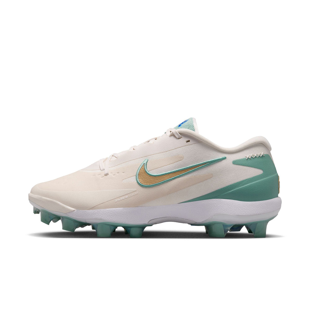 Souliers de baseball pour Homme Nike Diamond Standout MCS