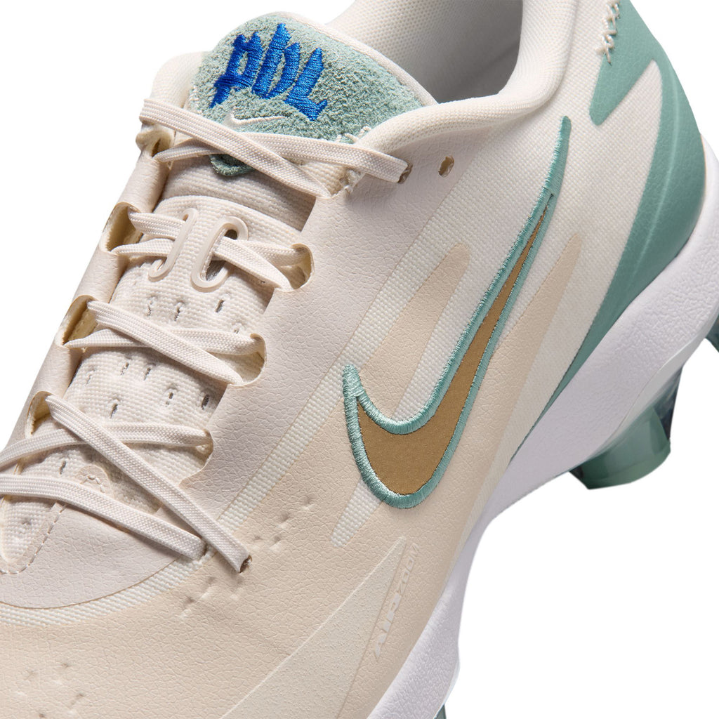 Souliers de baseball pour Homme Nike Diamond Standout MCS