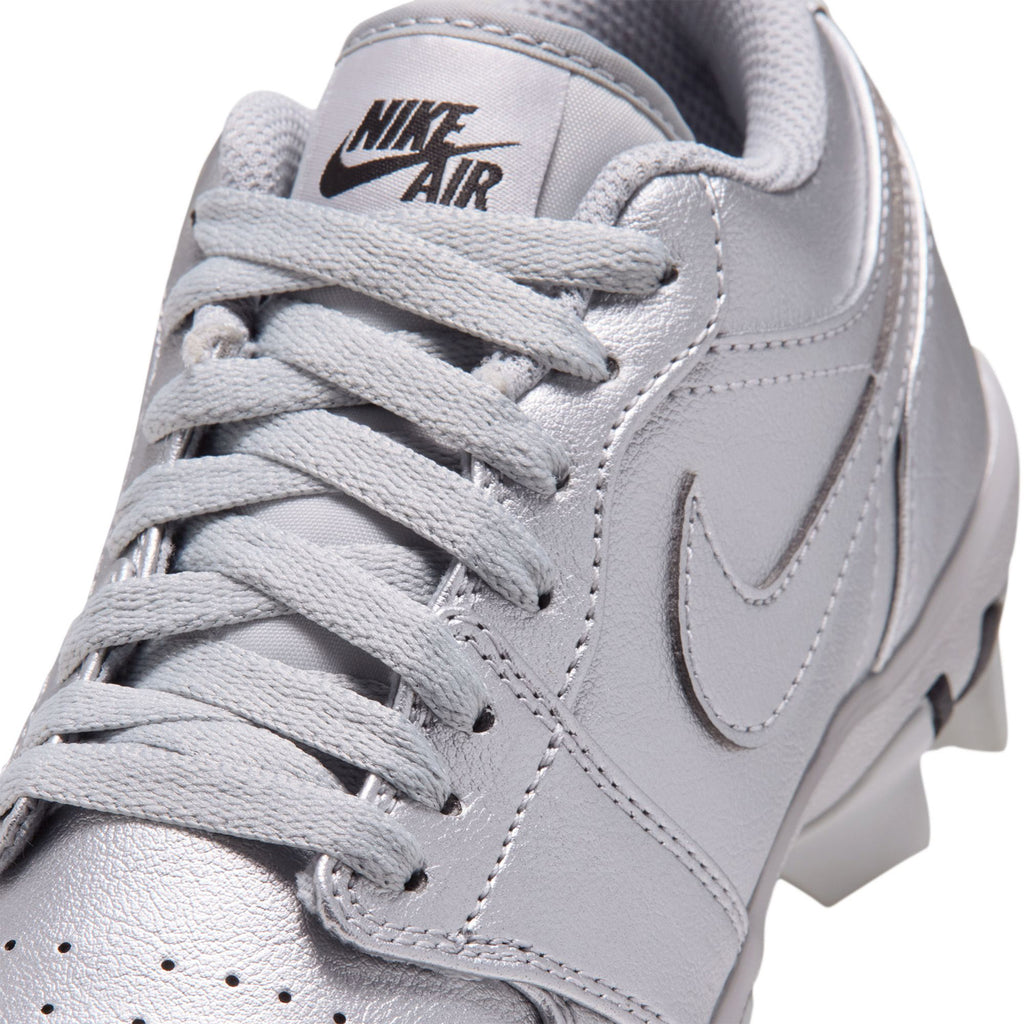 Metallic Silver/Black