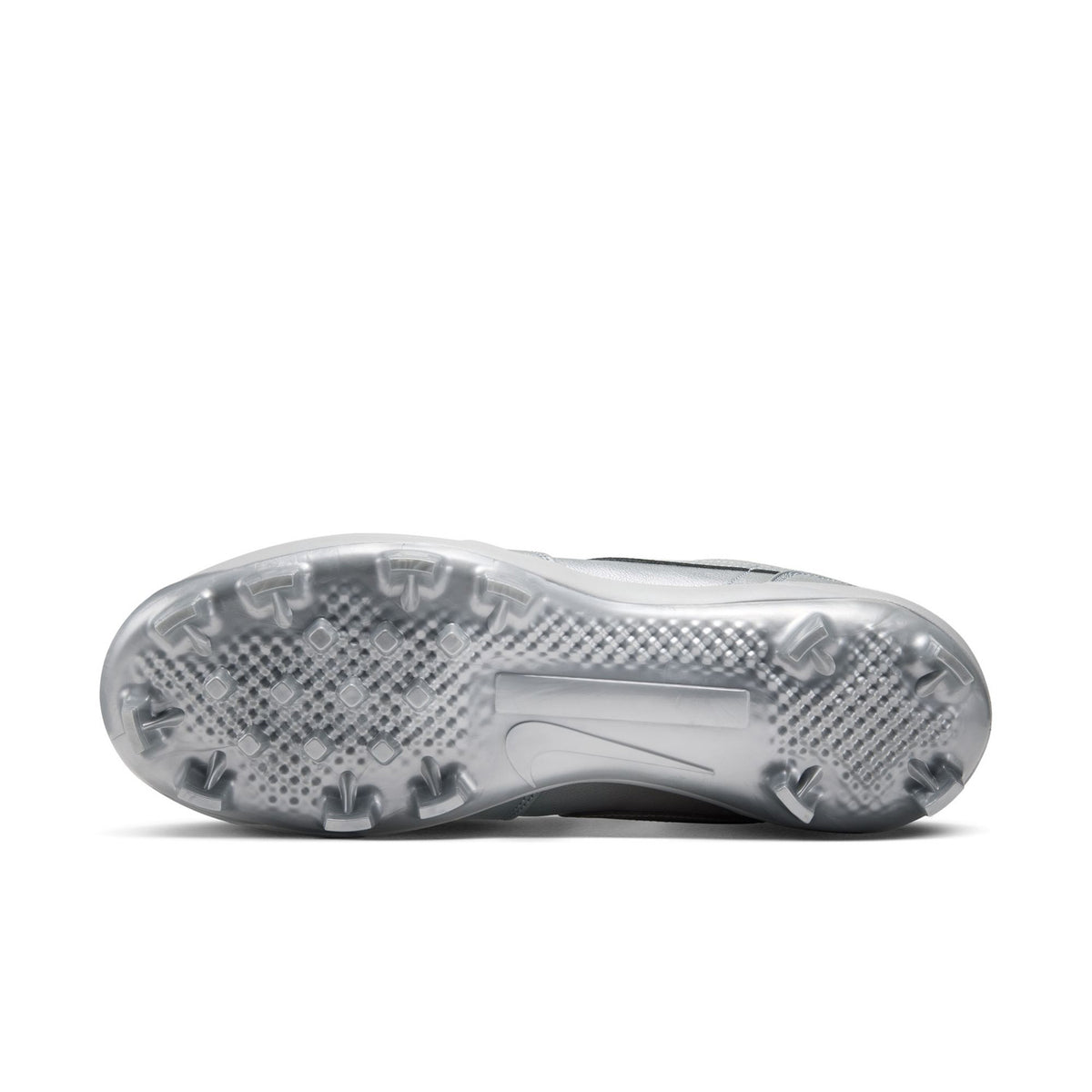 Metallic Silver/Black