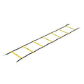 Quick Ladder Pro FE
