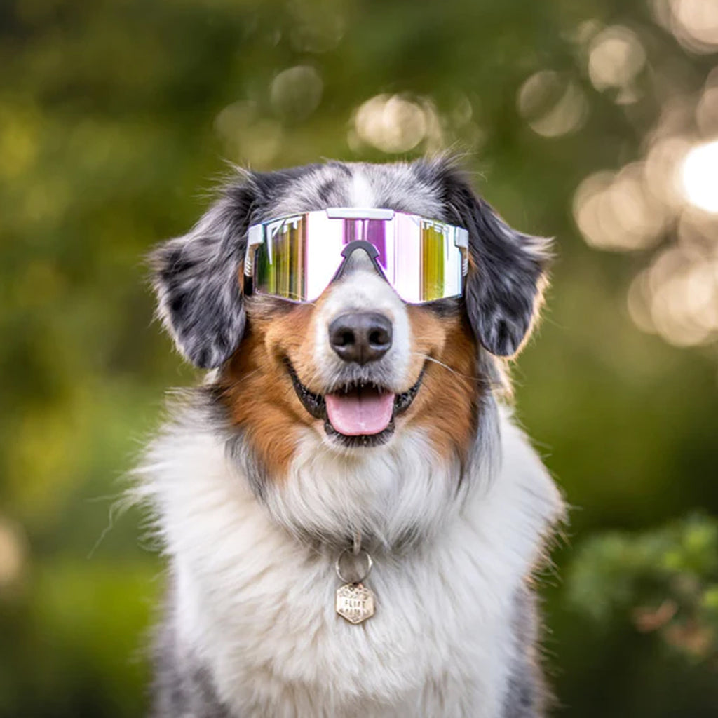 The Miami Nights Original Narrow Sunglasses