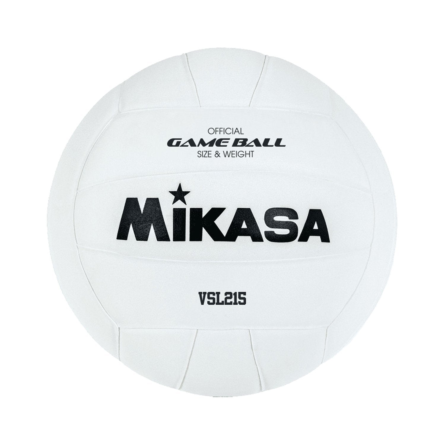 Indoor / Outdoor Ball