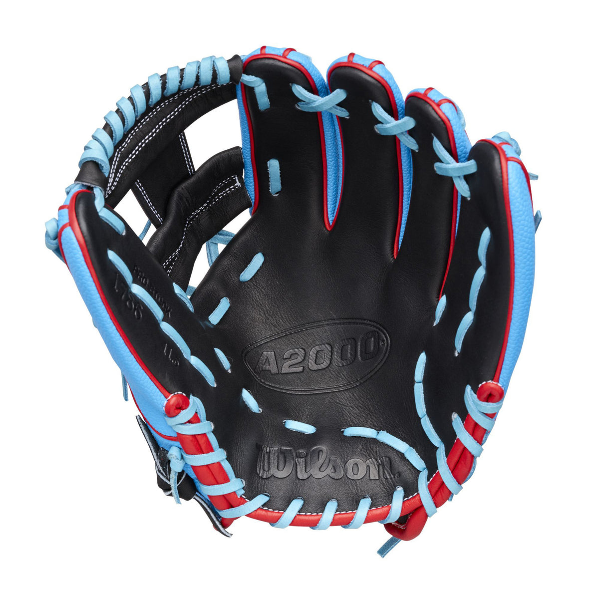Black/Blue