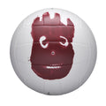Ballon de Volleyball AVP Cast Away