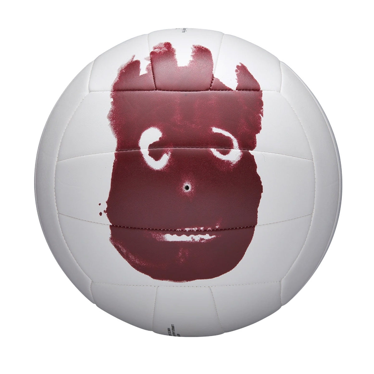 Ballon de Volleyball AVP Cast Away