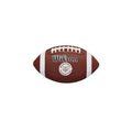 Wilson CFL Team Mini Football
