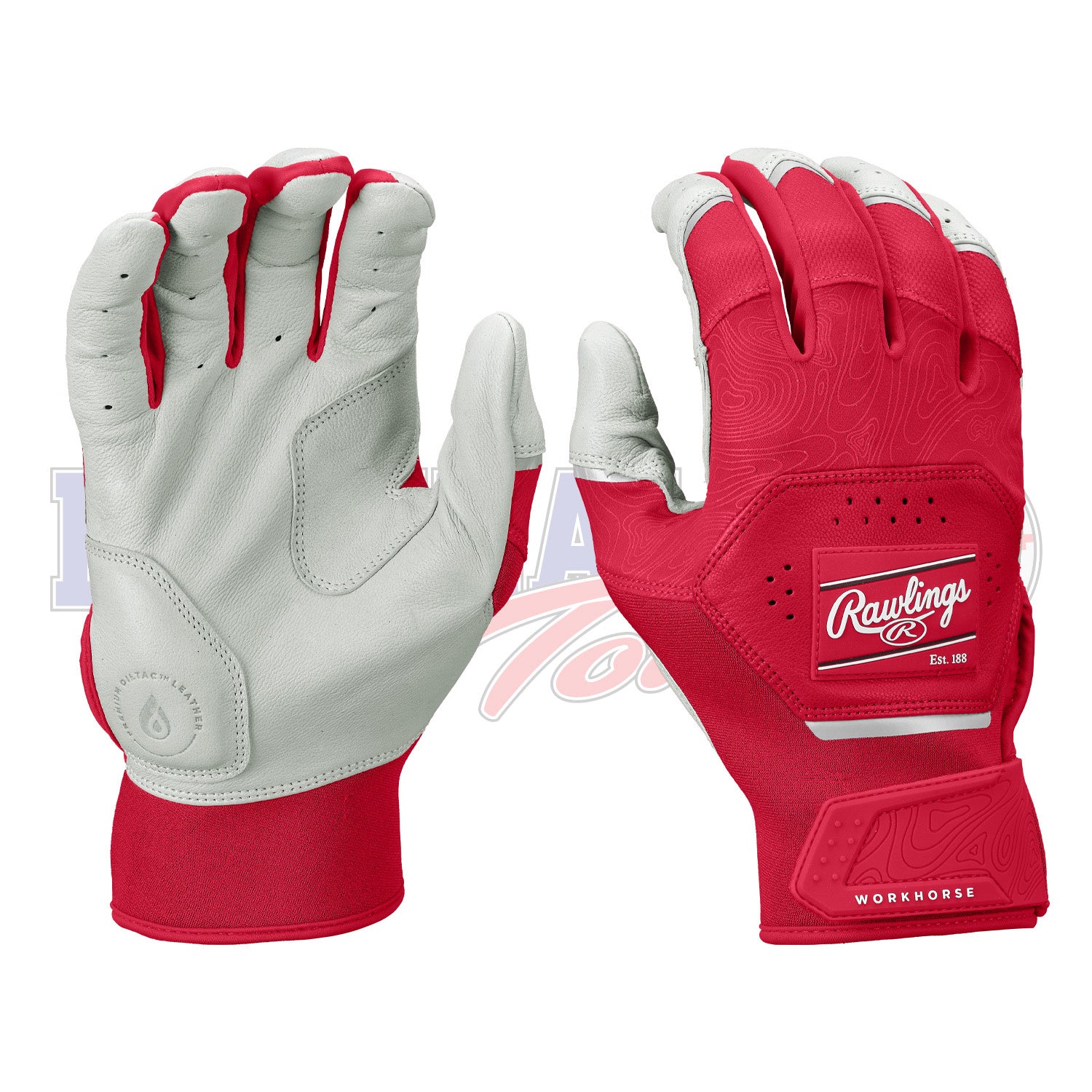 Workhorse Adult Batting Gloves